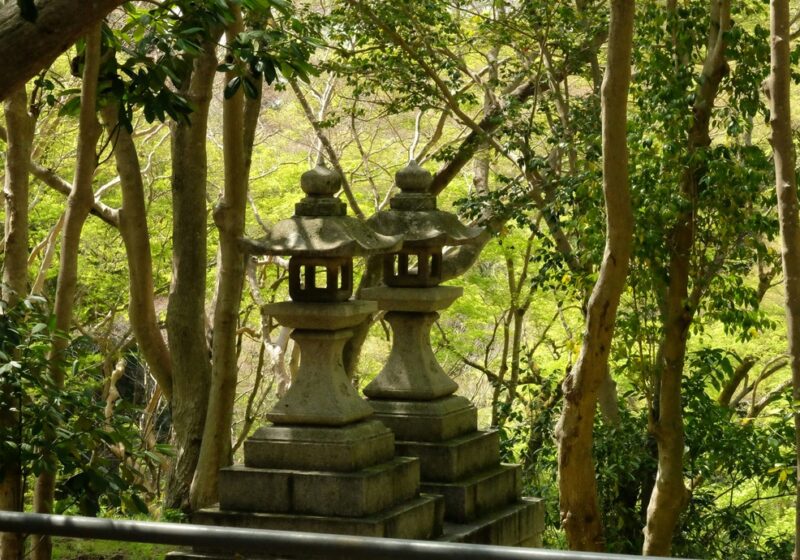 言葉の齢 — 三つの若者語が、おじさん語になるまで